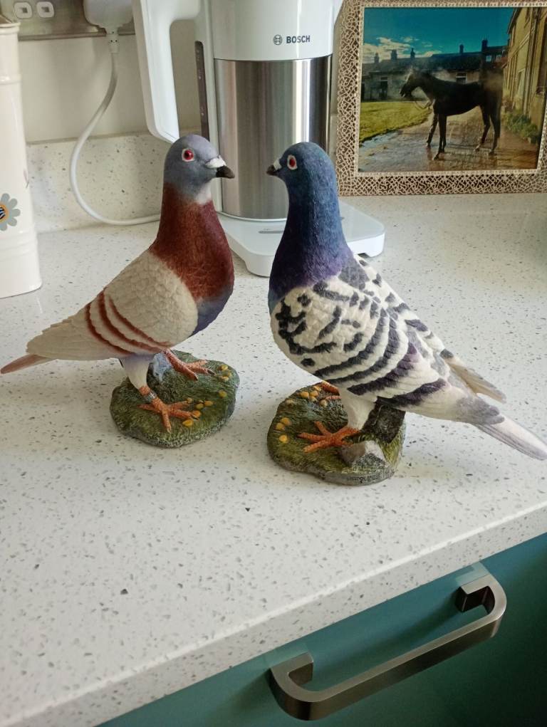 Pair of Racing Pigeons figures 