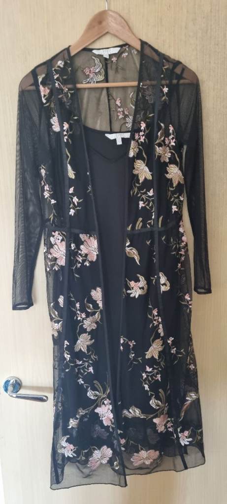 Floral Embroidered Sheer Dress