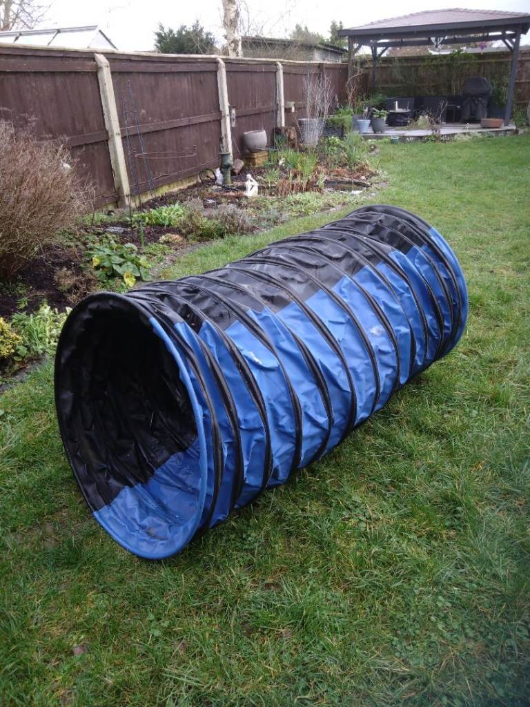 Training agility tunnel 