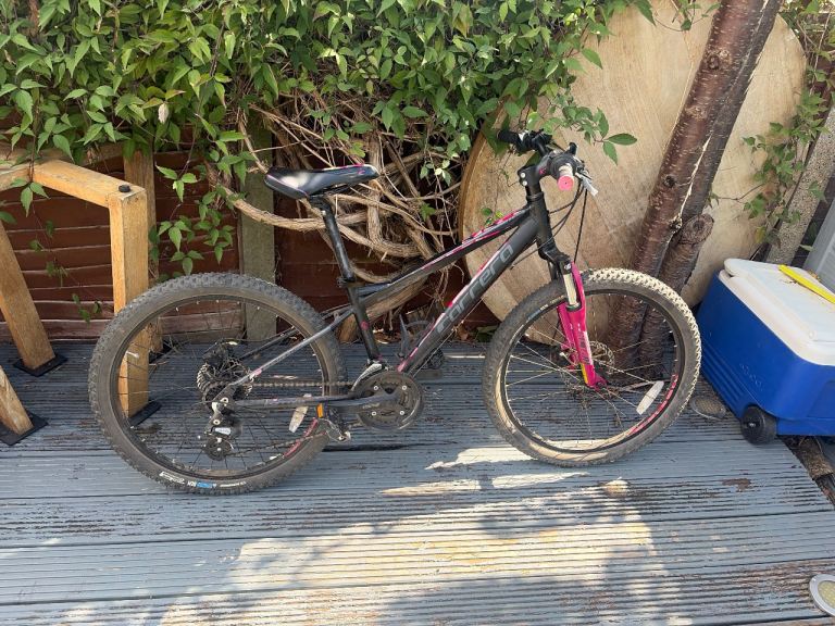 Carrera Luna 24” Kids Bike – Black and Pink, Great Condition