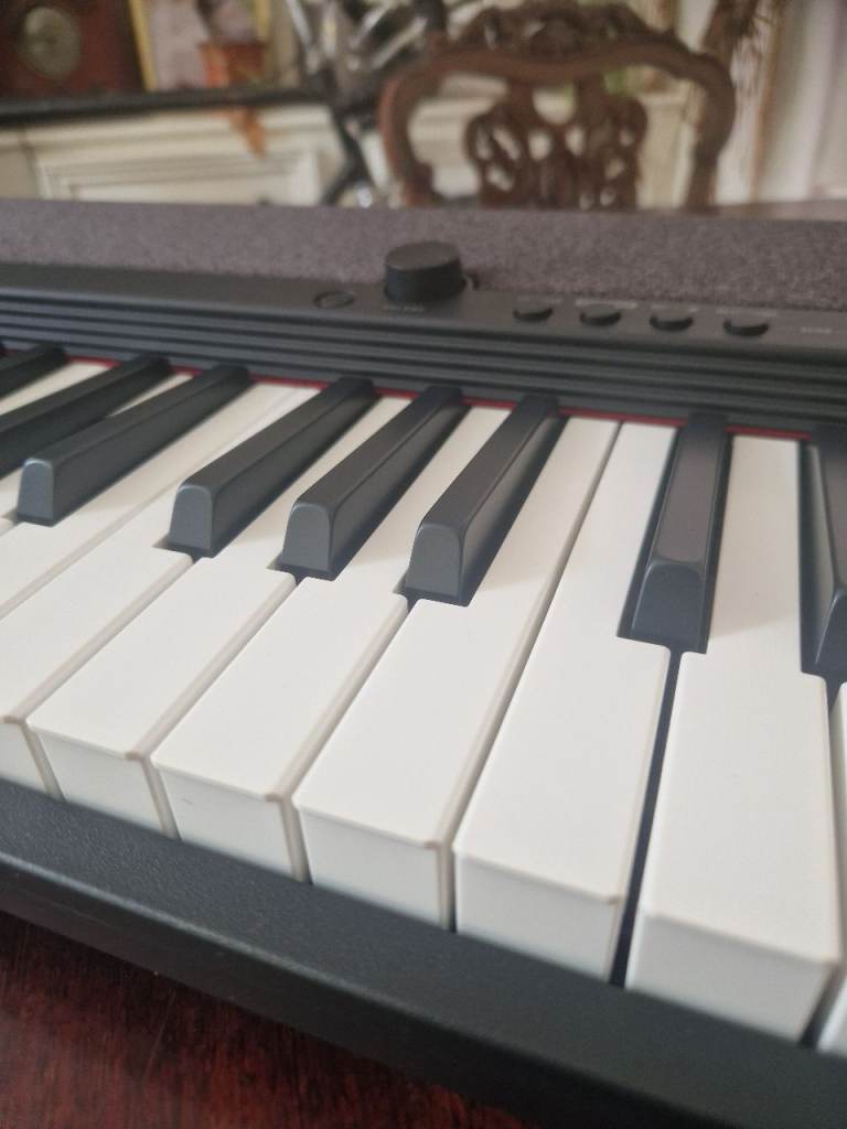 Casio CT-S1 Portable Piano keyboard Black plus heavy duty folding stand. Brand new