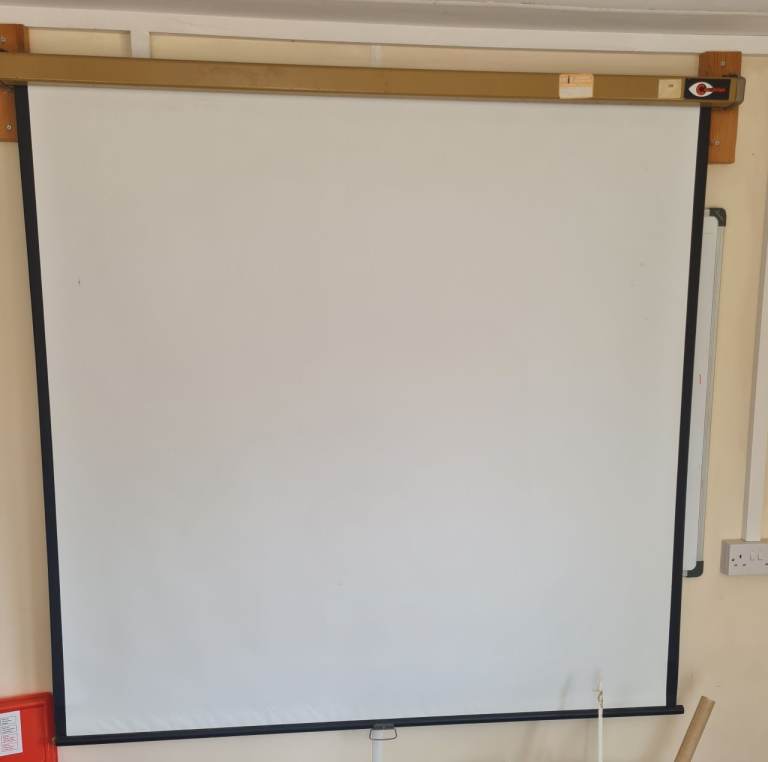 Projection Screen PULL DOWN ***Deal***