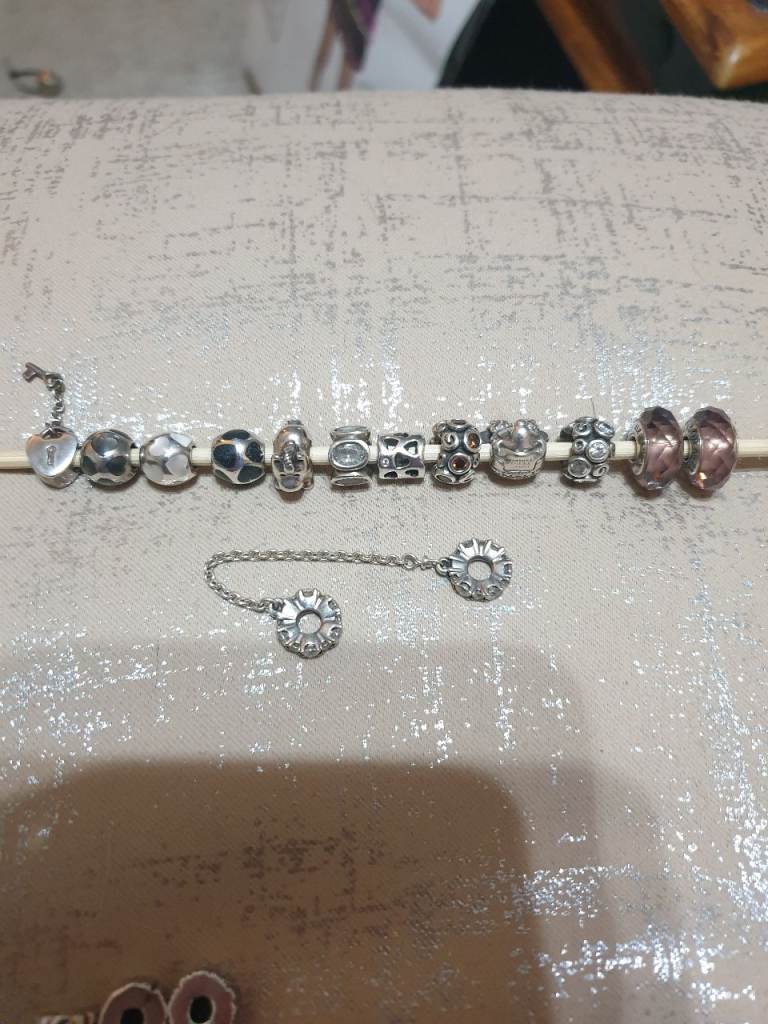 Pandora Charms