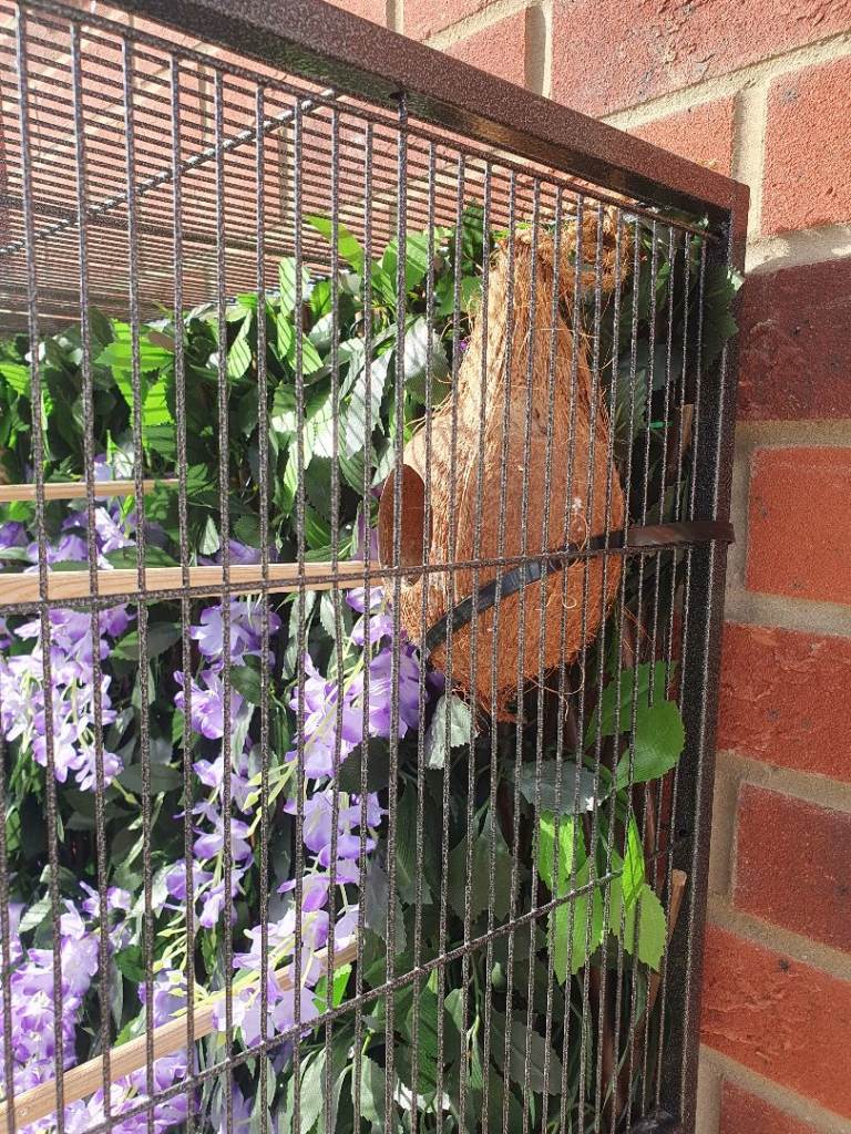 Large indoor bird cage on wheels with 4 birds 