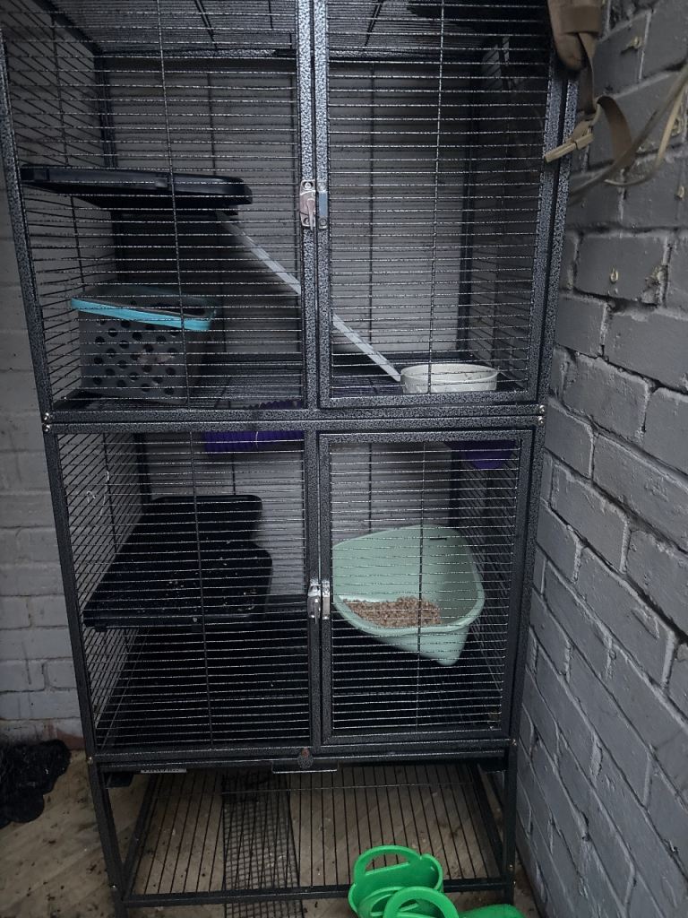 Ferret cage 
