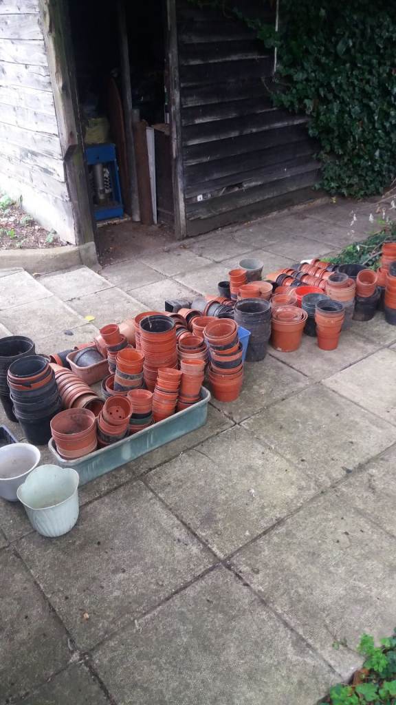 Assorted used plastic plant pots etc