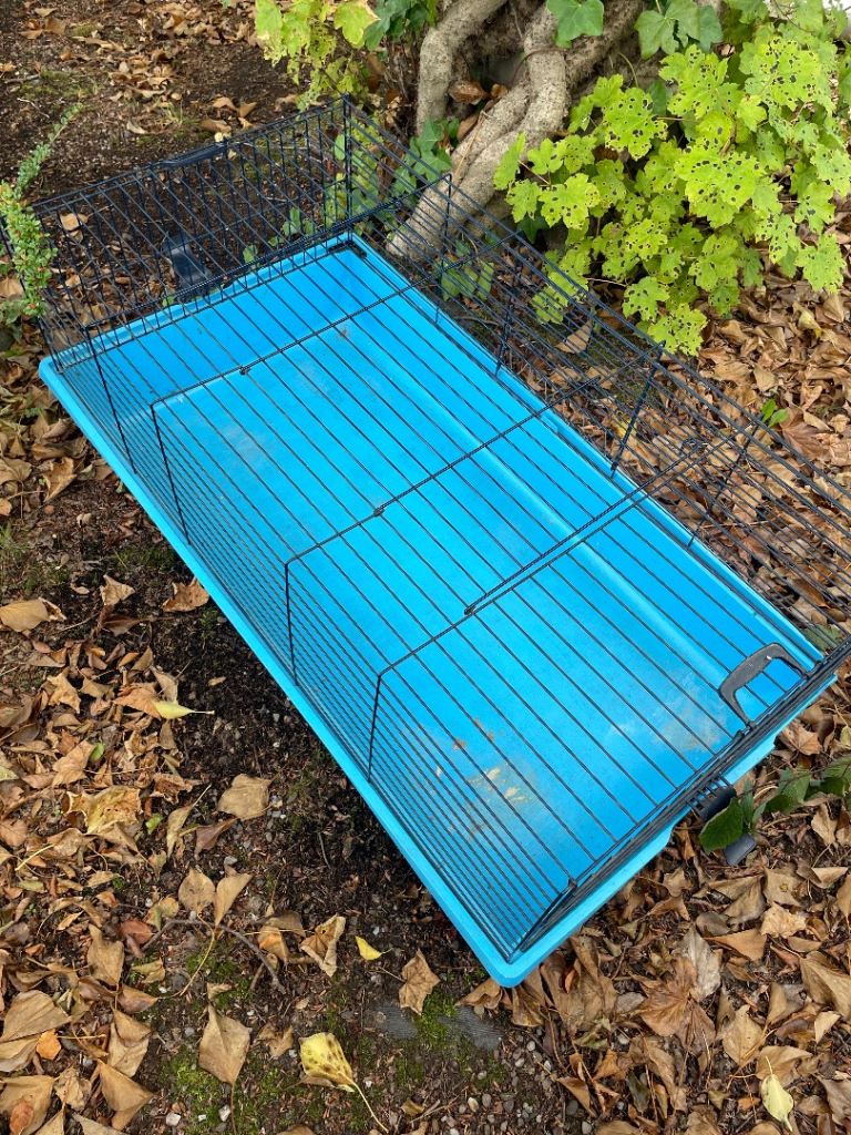 Guinea Pig Indoor Cage