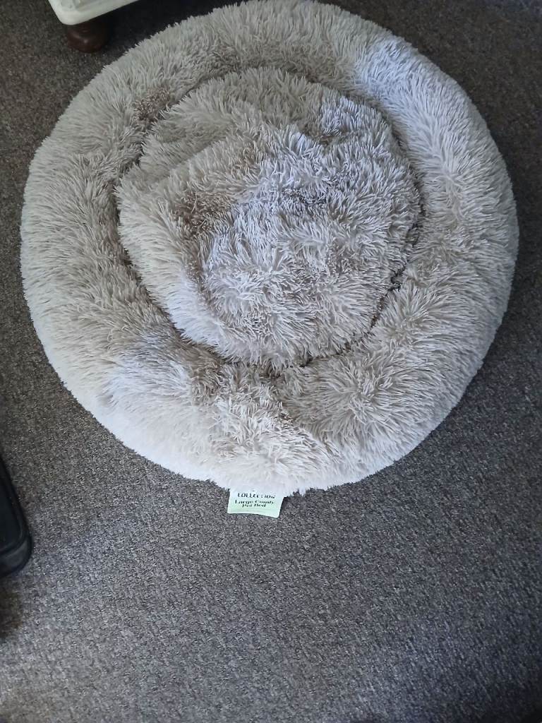 Dog bed