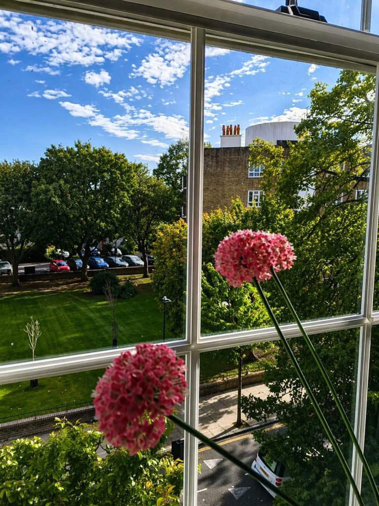 Spacious bright single room  for rent 