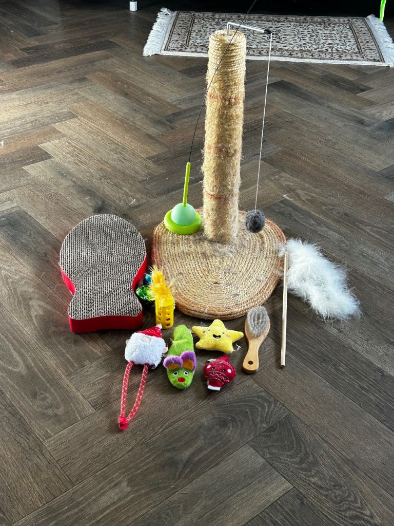 Cats Scratching Post and Toys