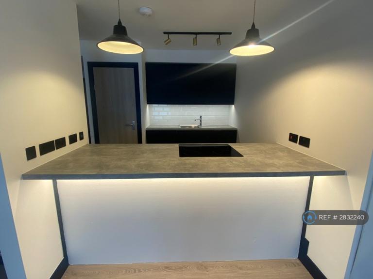 1 bedroom flat in Stafford St, Bristol, BS3 (1 bed) (#2832240)