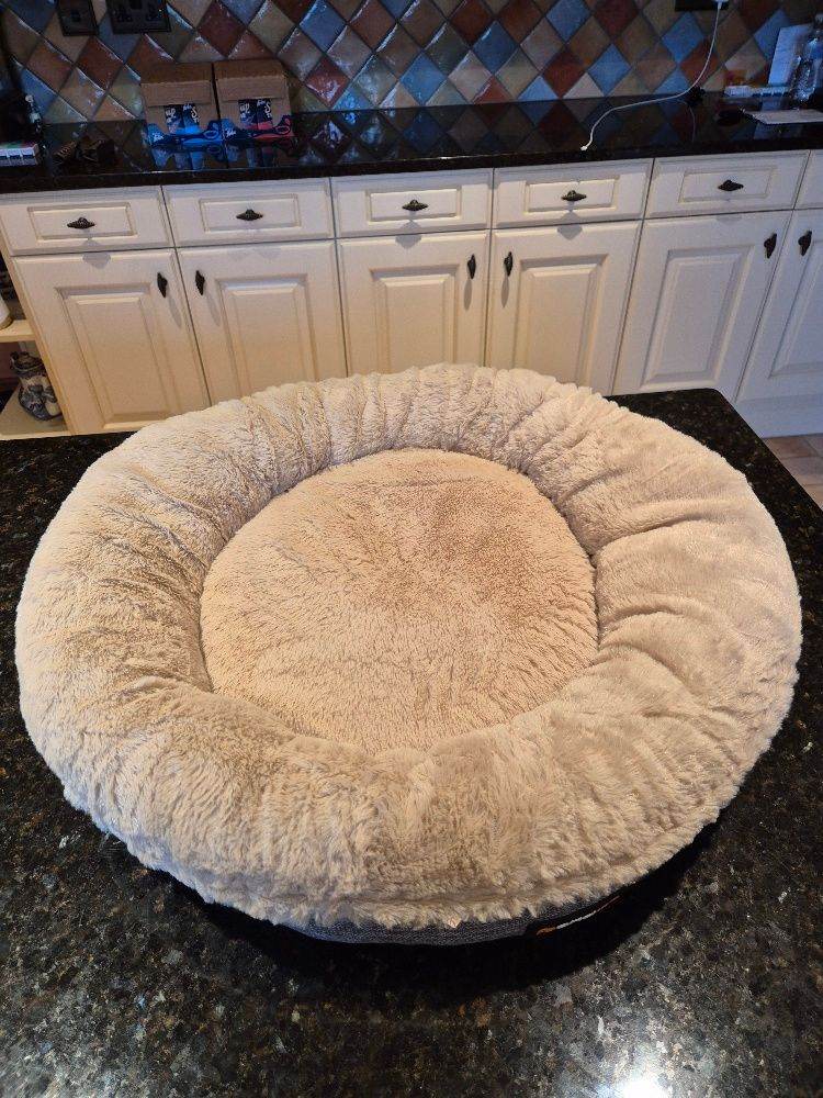 cat bed never used perfect condition.