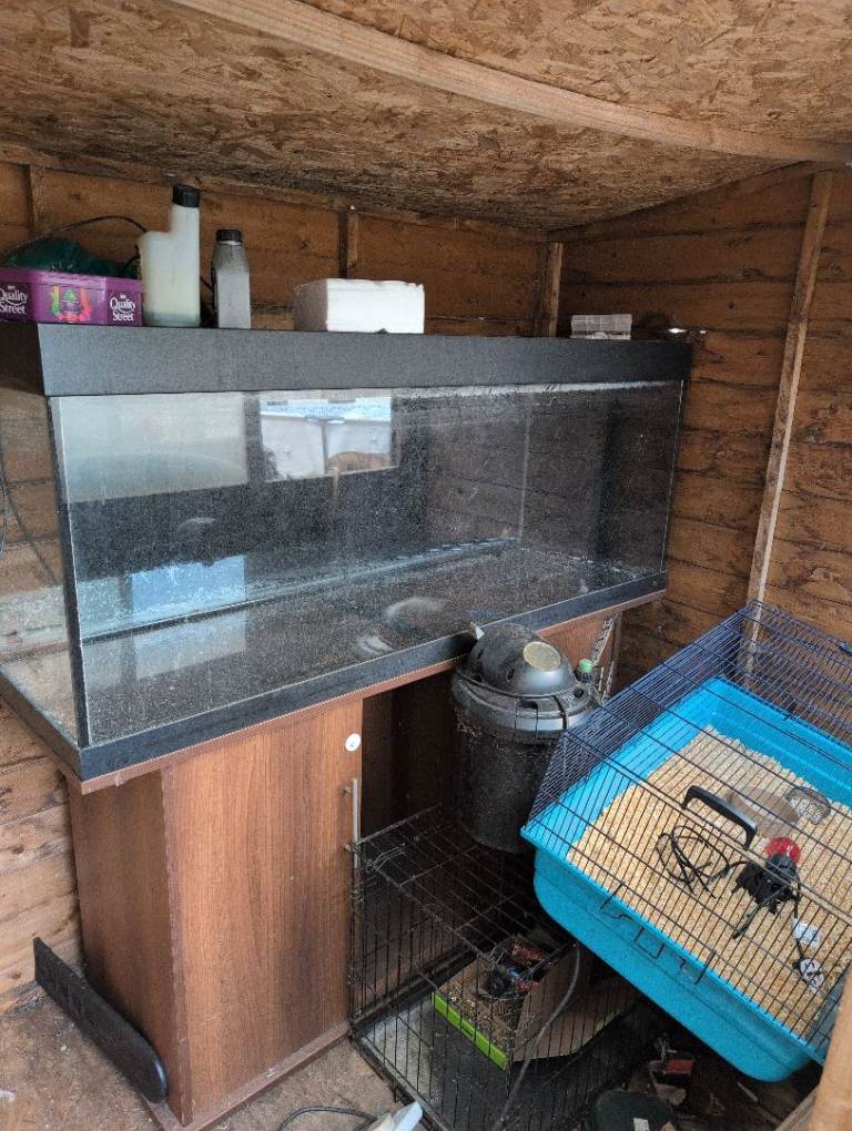 5ft tank