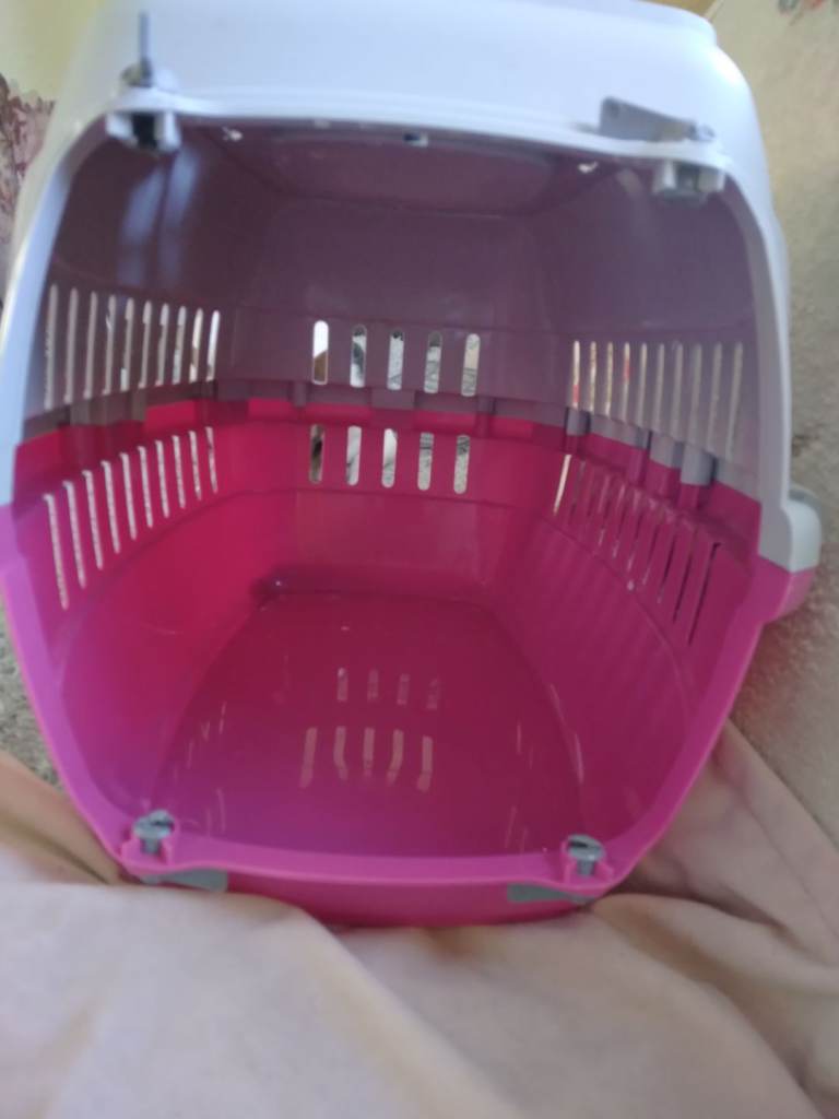 Cat carrier 