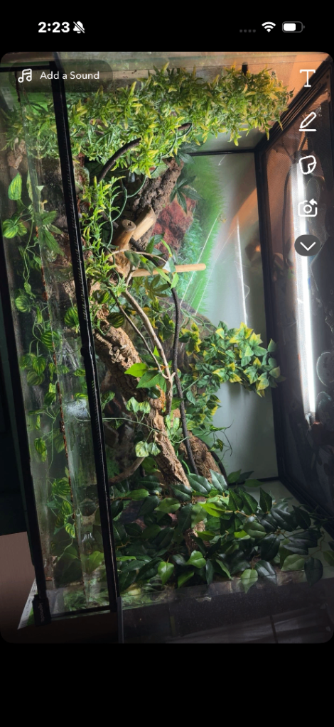 Vivariums 