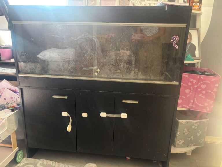 Lizard aquarium 
