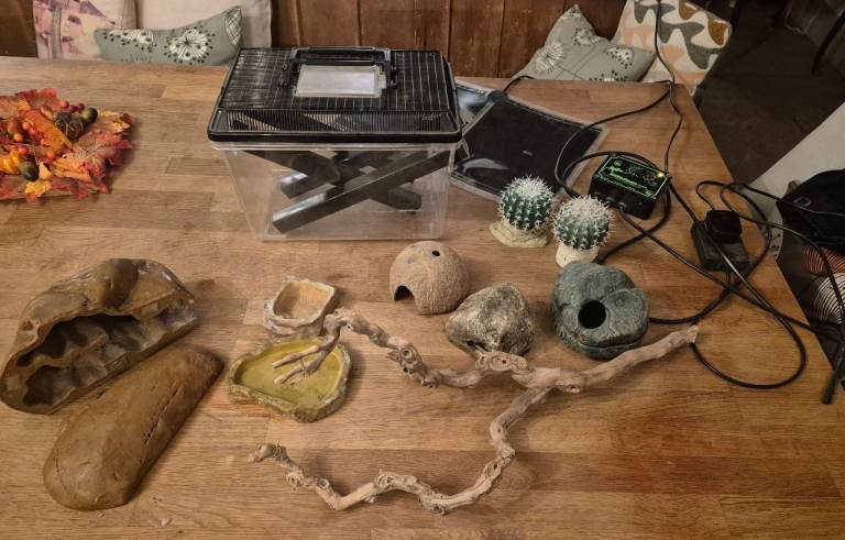 Exo Terra large wide viv plus Zoomed LED Hood, microclimate pulse thermostat, heat mat & accessories