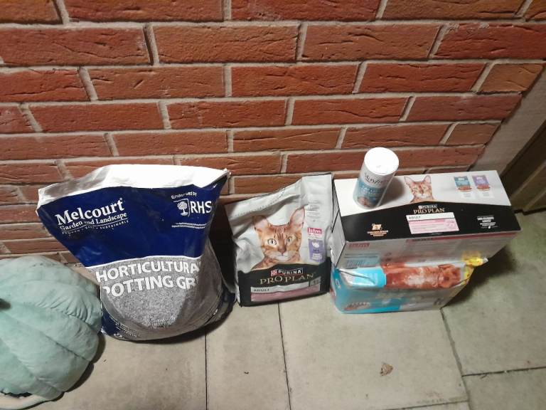 Cat 🐈 assessoraries 