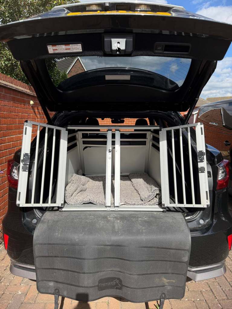 Car boot double dog crate
