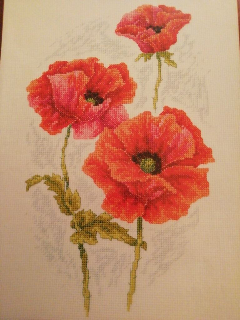 Cross stitch Maria Diaz red poppy  chart