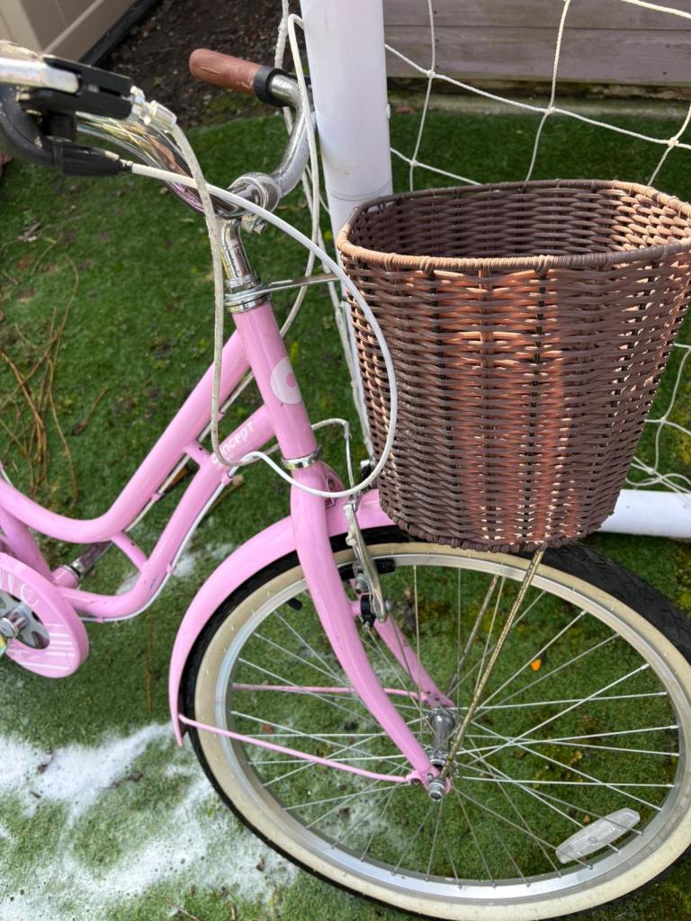 Pink City Bike with Front Basket and Rear Rack