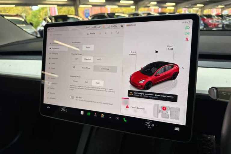 2022 Tesla Model 3 Performance AWD 4dr [Performance Upgrade] Auto SALOON ELECTRIC Automatic