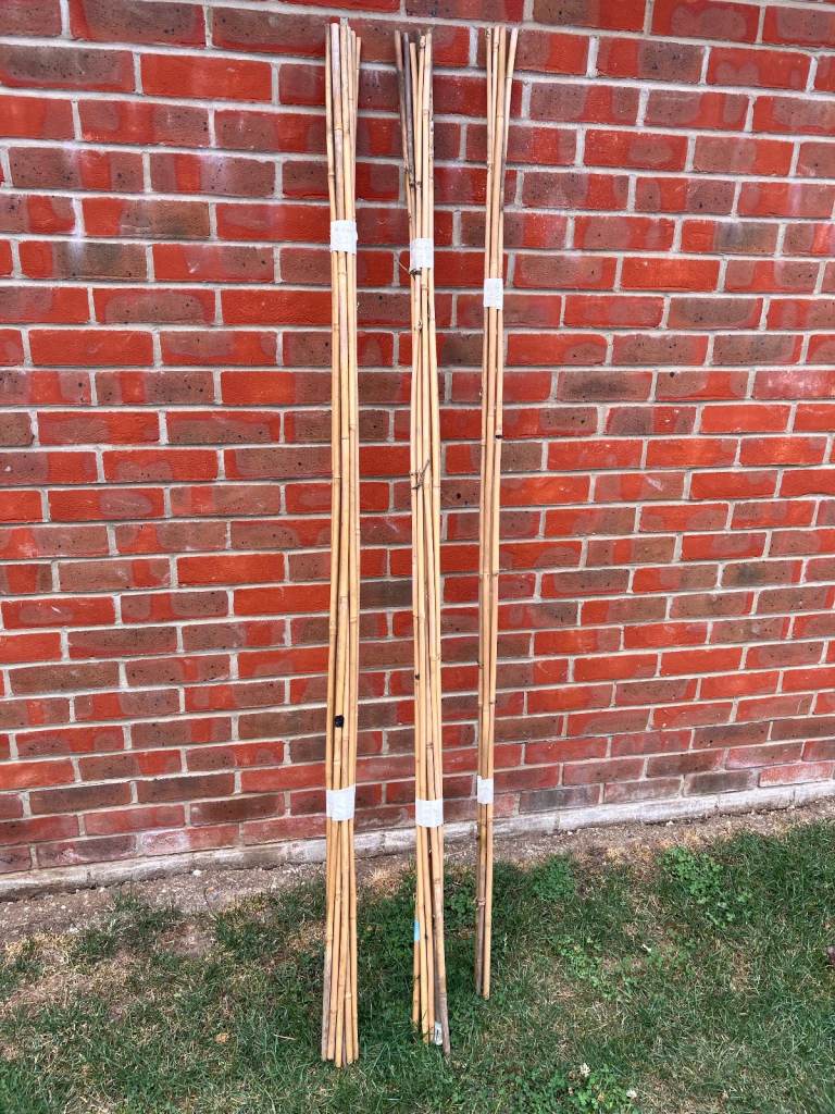 [Gardening items]: Bamboo Plant Support Pack Garden Canes