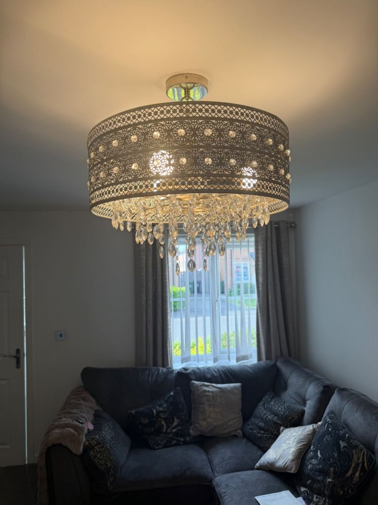 Ornate Antique Silver Crystal Ceiling Light – The Range