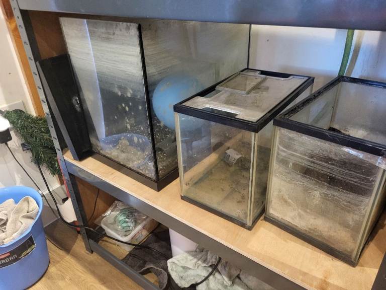 Fish tanks for sale.