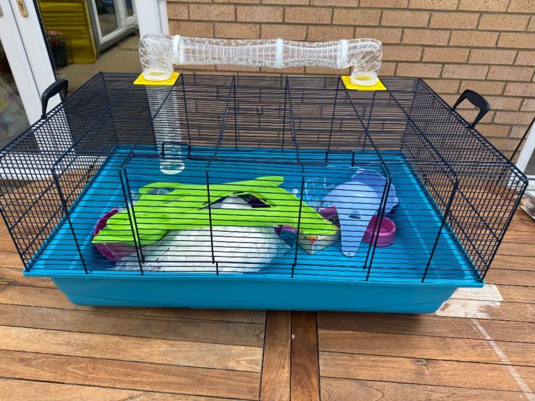 Hamster cage 