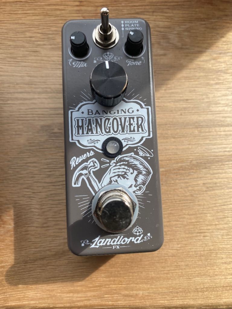 Landlord FX Banging Hangover Reverb Pedal – As Good As New