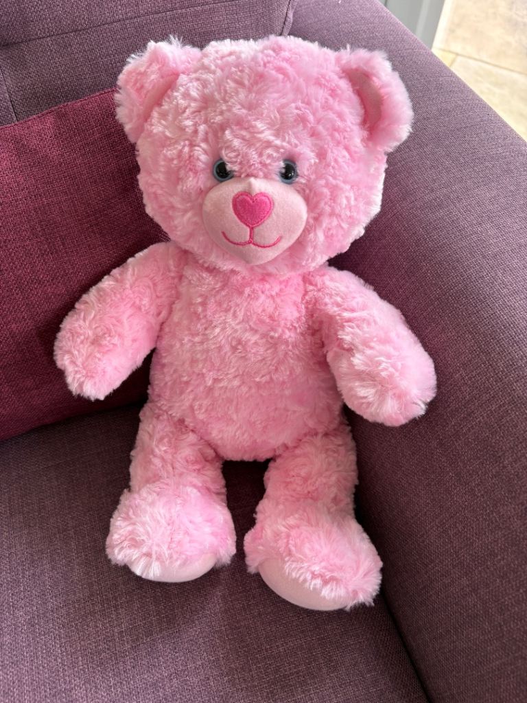 Build a Bear and accessories bundle