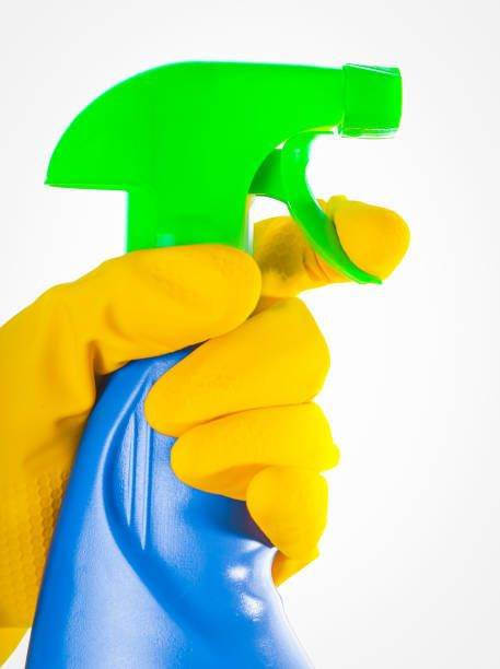 Trusted Private Home Cleaner