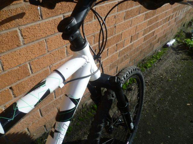Bike with disc brake