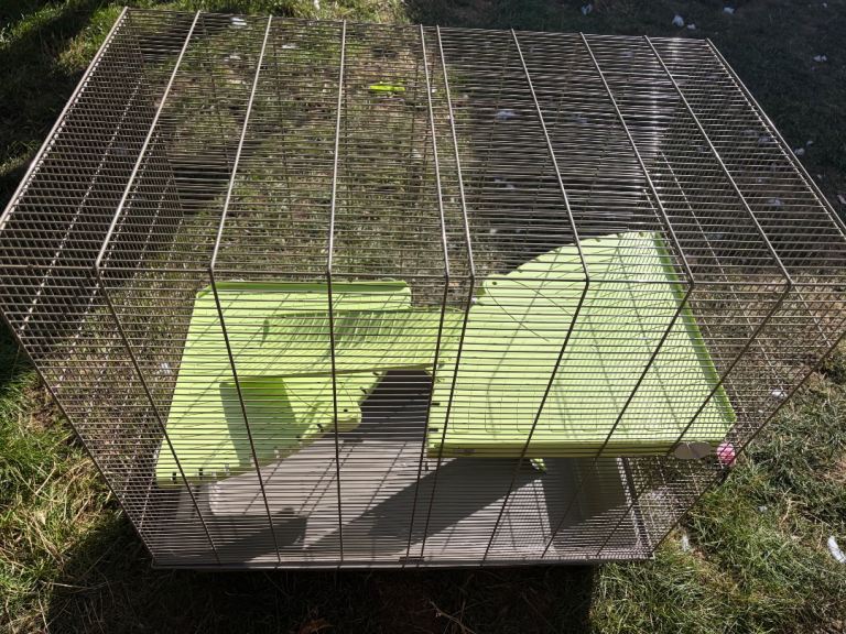 Large rodent cage 