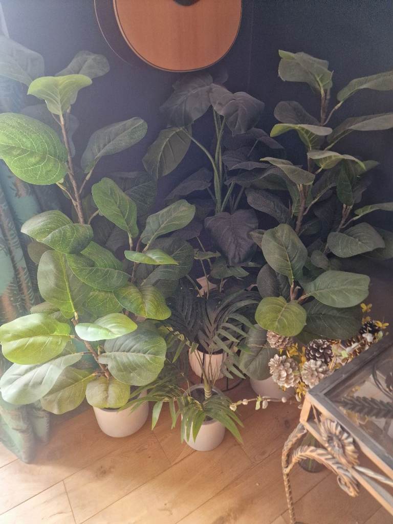 M&S Artificial Plants-5 