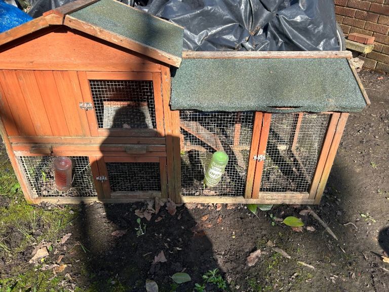 Rabbit cafe for sale