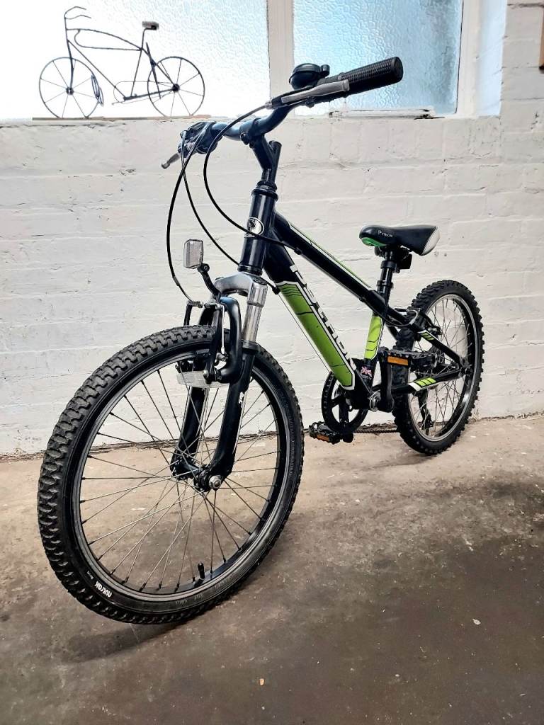 Python Rock Boys Girls Mountain Bike (Great Condition and Serviced) 6-9yrs