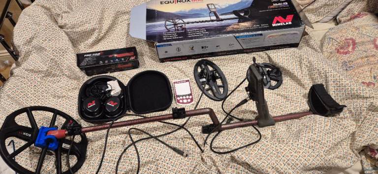 Minelab equinox 800