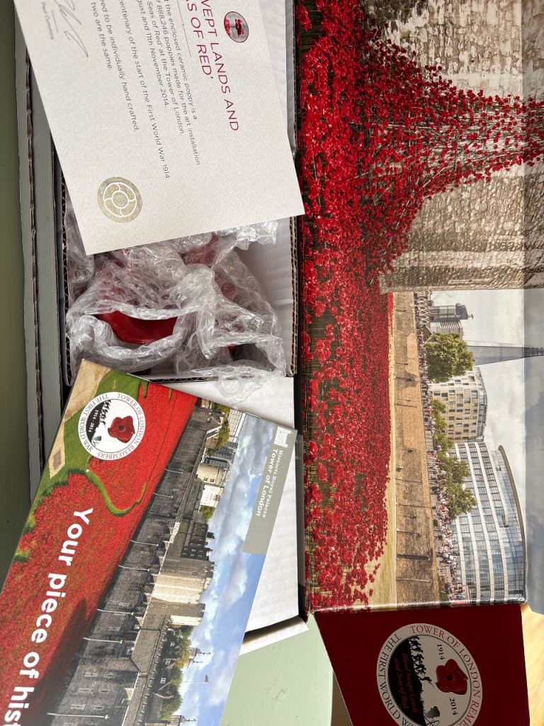 Tower of London Poppies – Blood Swept Lands and Seas of Red