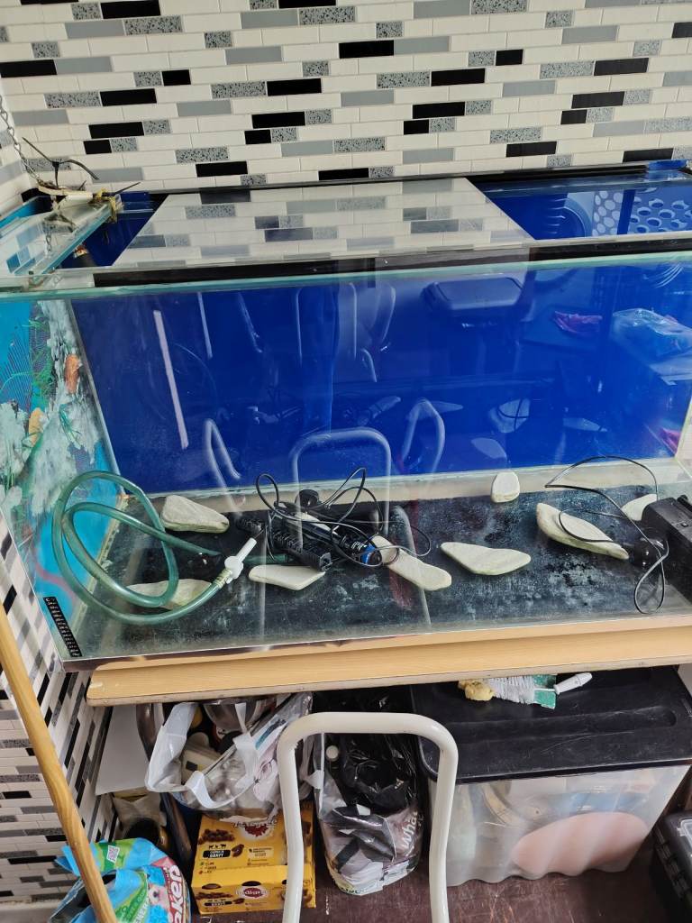 Fish tank