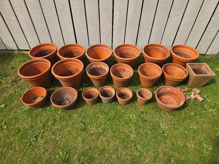 Terracotta pots various sizes - 20 in total