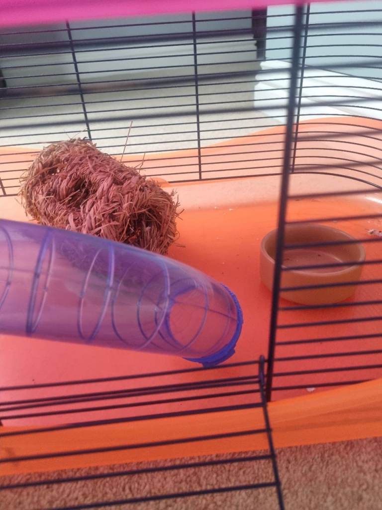 Free IMAC Hamster cage