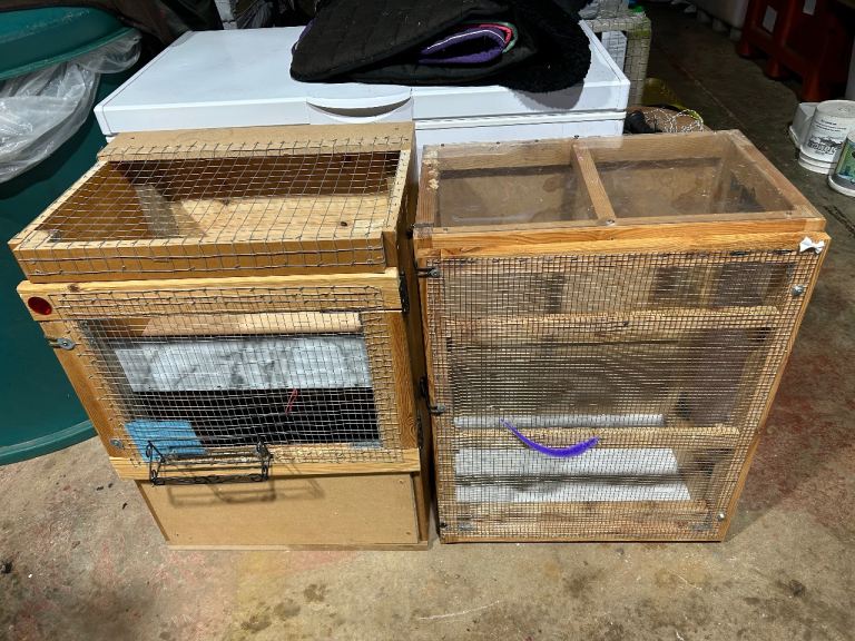 Wooden custom build hamster cage, with several levels, West Aberdeenshire