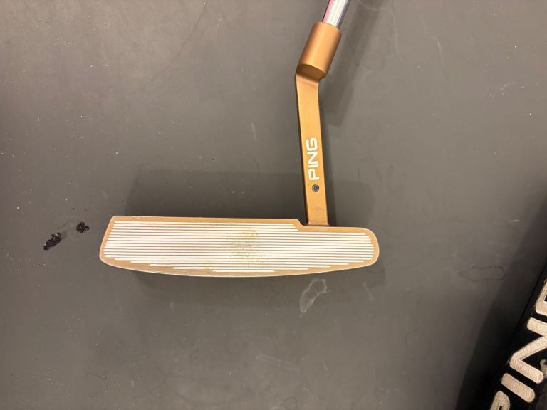 Ping Anser 2 karsten