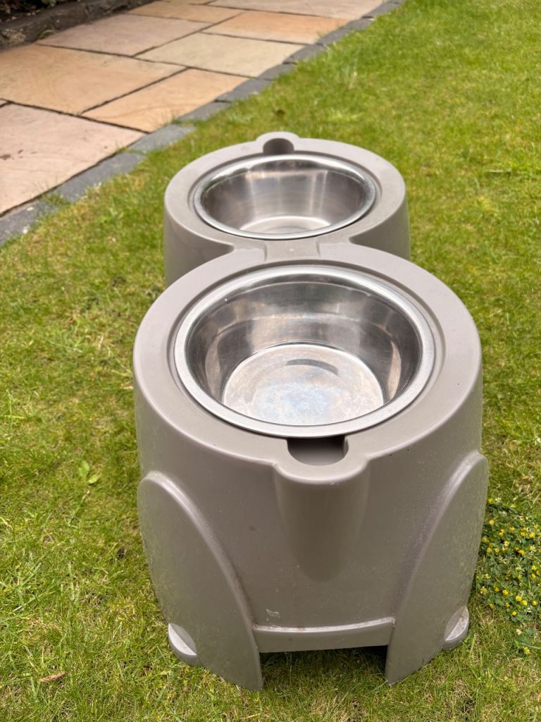 Raised Dog Bowls