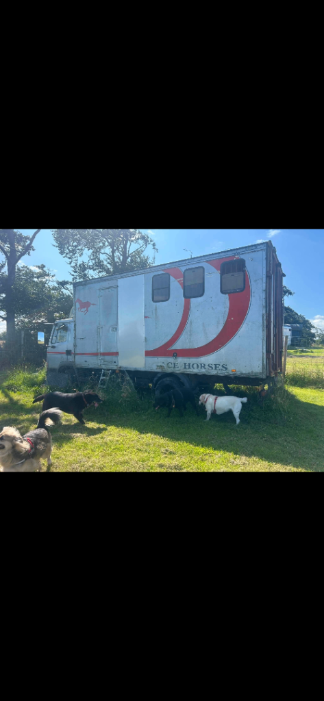 Horse box 
