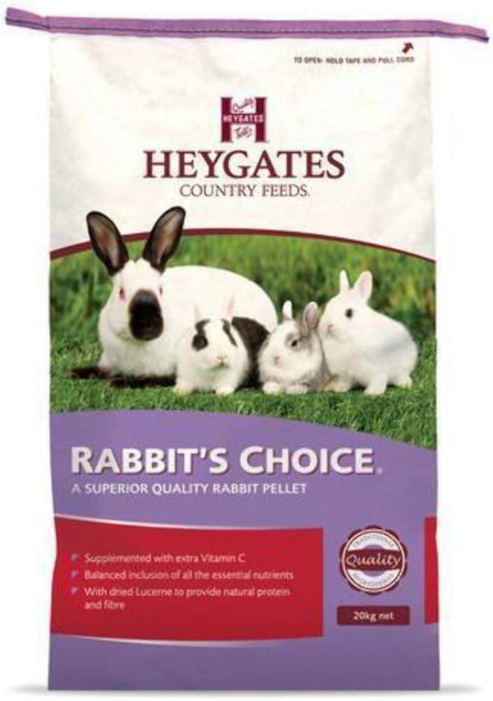 Rabbit food and treat for free 