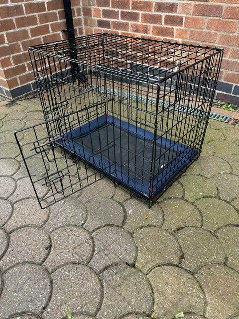 Dog Cage