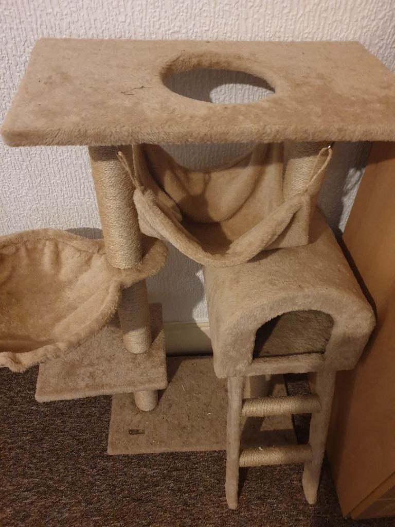 Cat tree and play tunnel